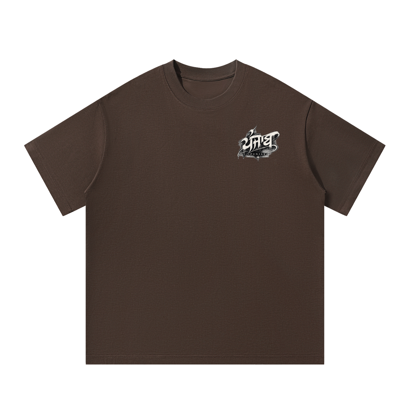Punjab Unisex Oversized T-Shirt