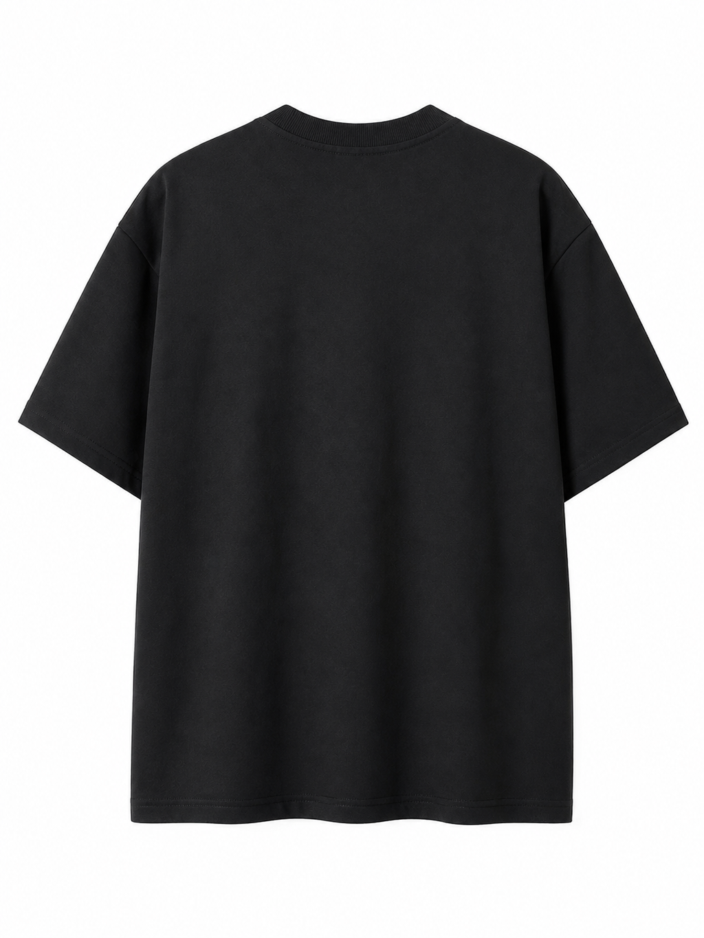 Black Punjab Map Oversized T-Shirt