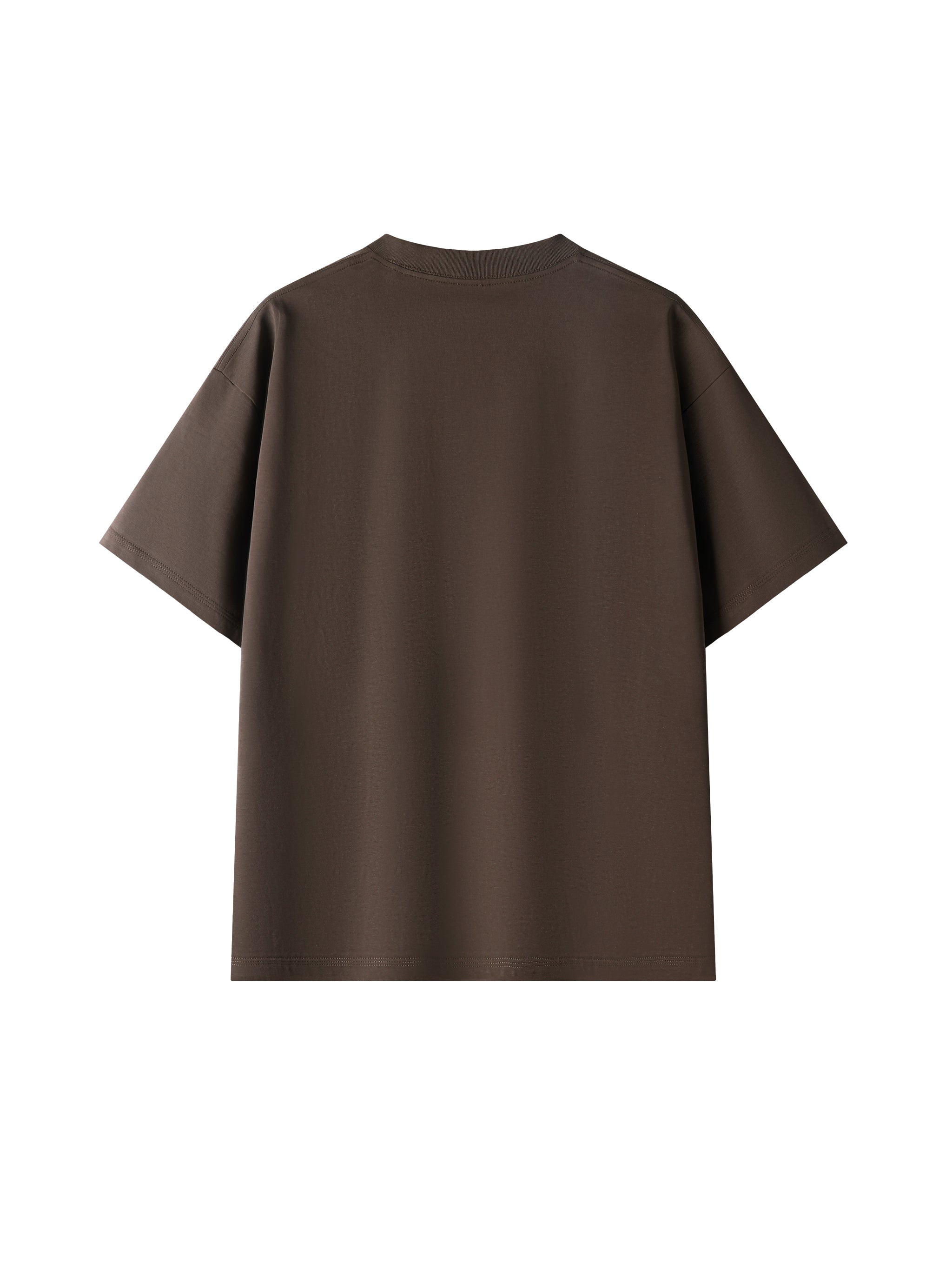 Brown Unisex Oversized T-Shirt