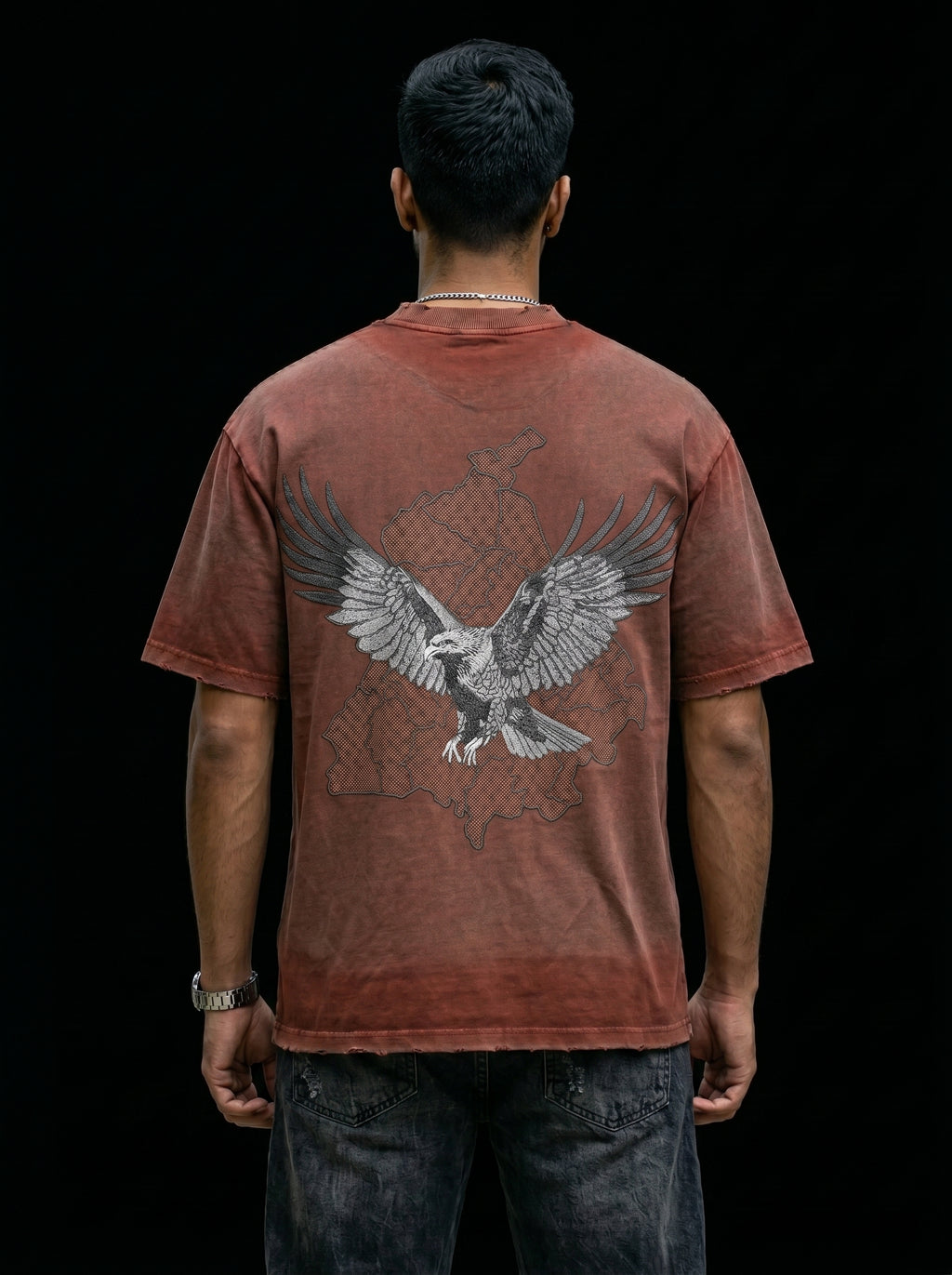 Falcon with Punjab Map Brown Tshirt