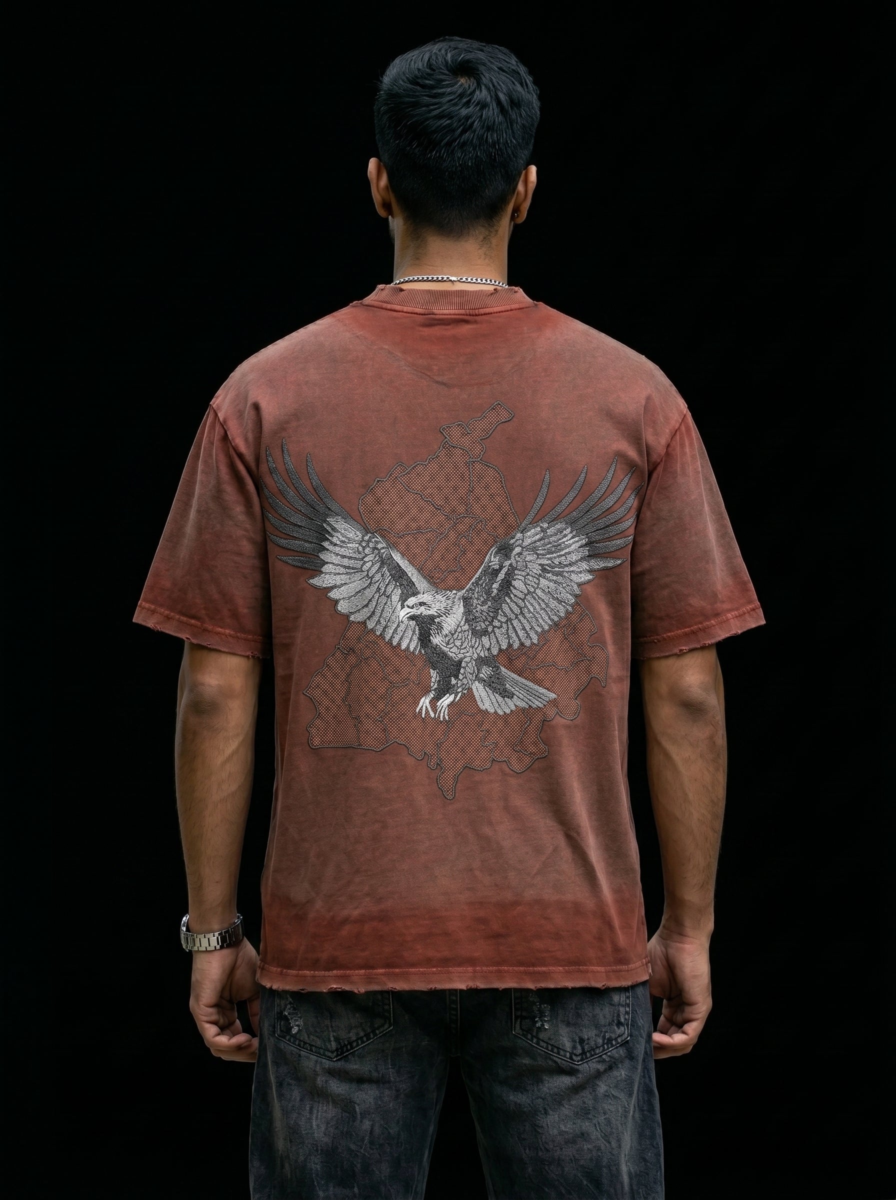 Falcon with Punjab Map Brown Tshirt