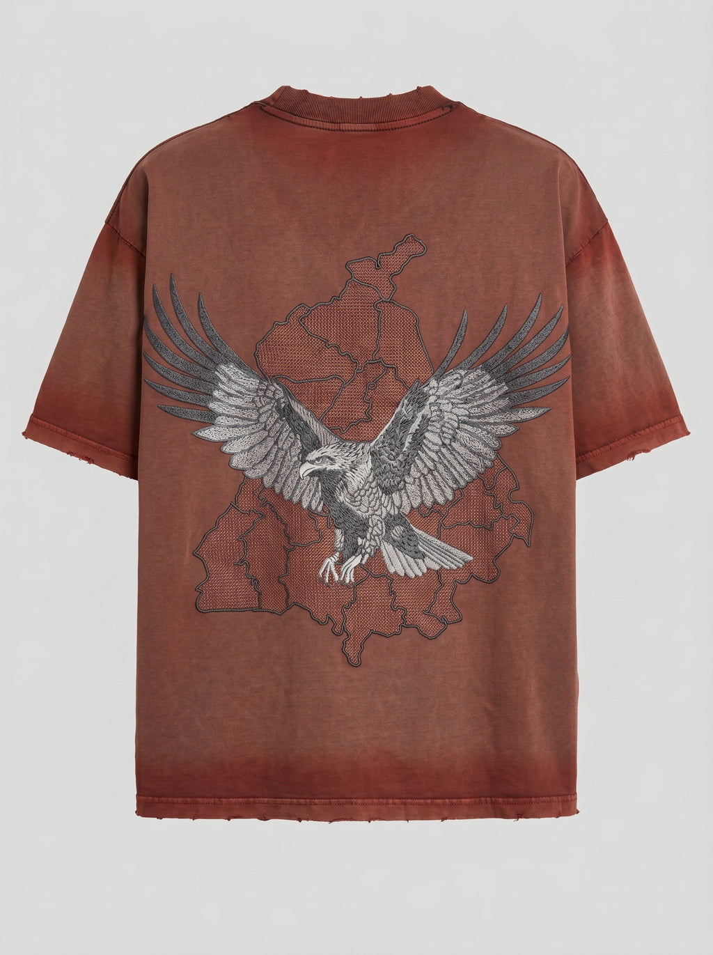 Falcon with Punjab Map Brown Tshirt