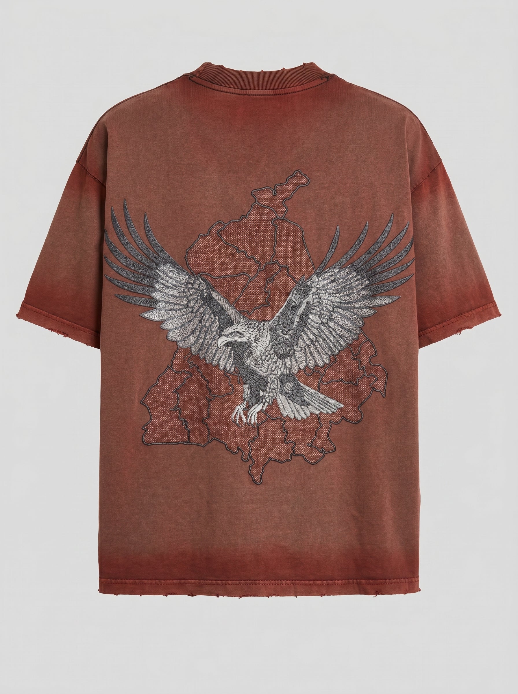 Falcon with Punjab Map Brown Tshirt