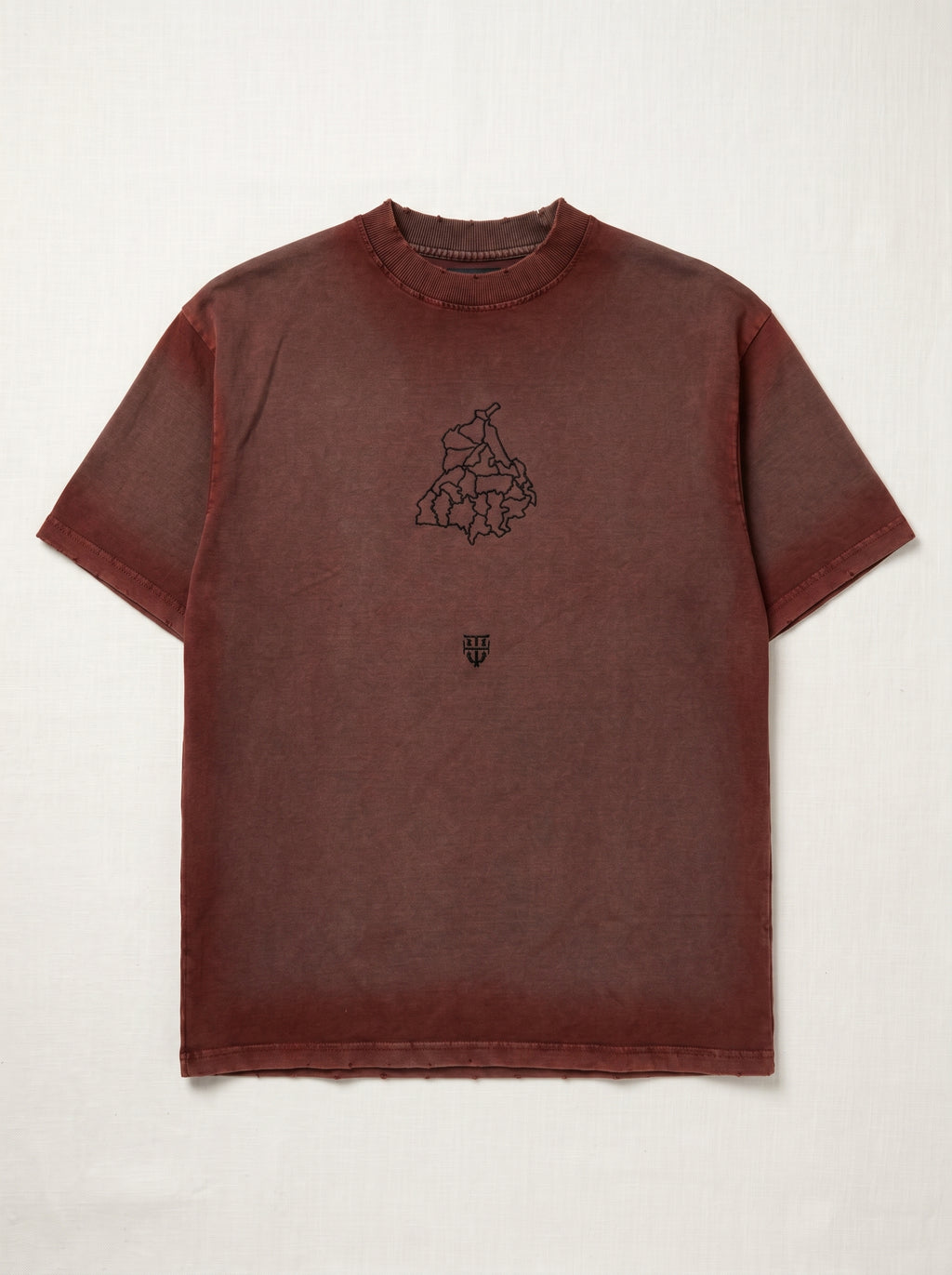 Falcon with Punjab Map Brown Tshirt