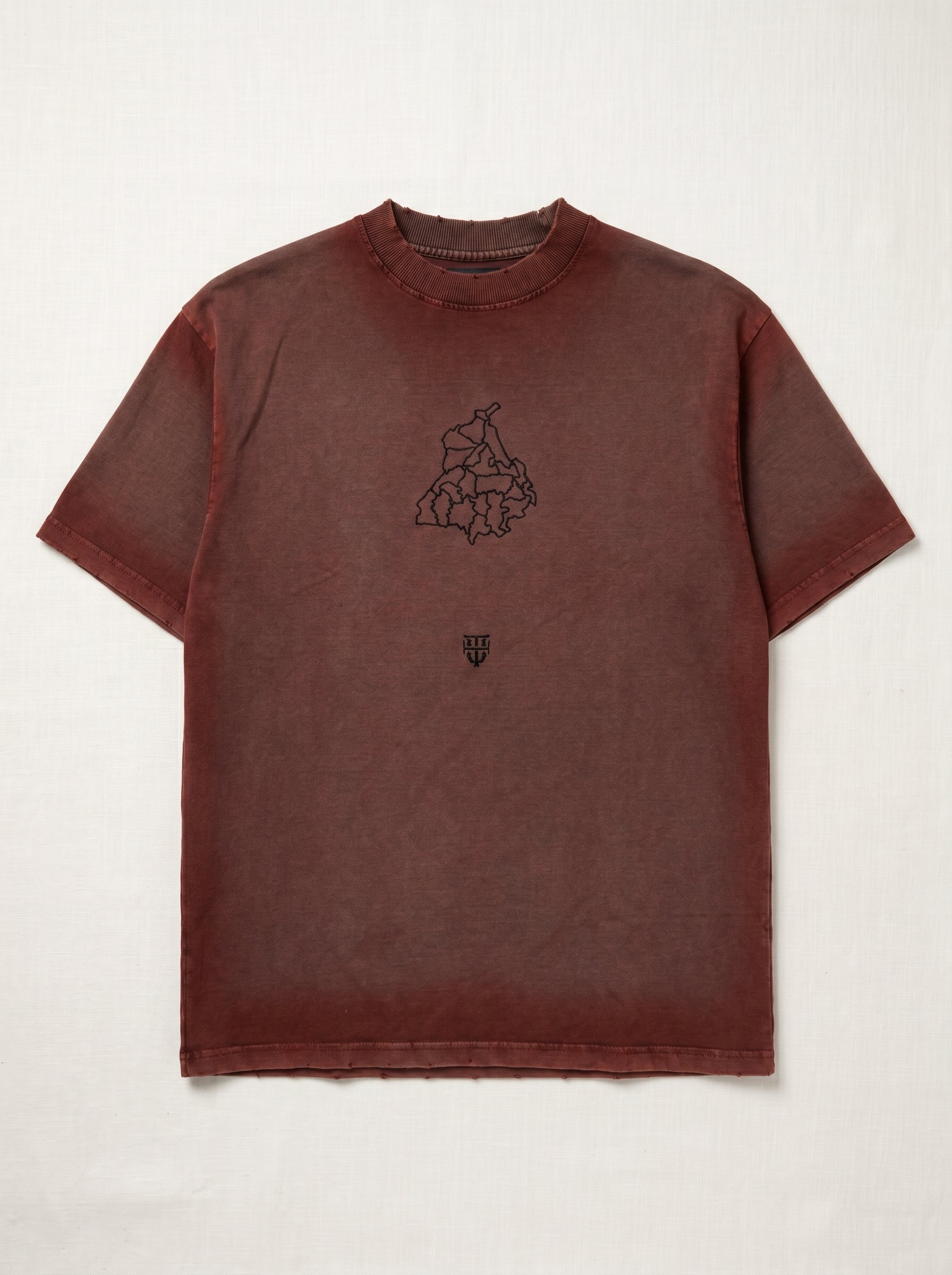 Falcon with Punjab Map Brown Tshirt