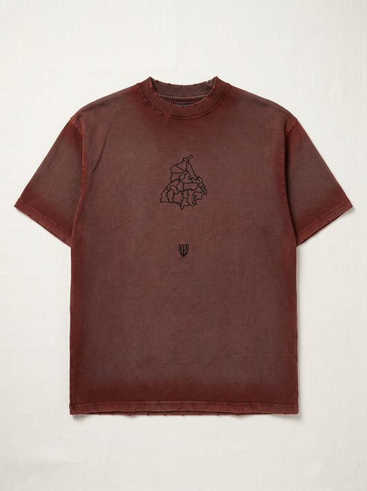 Falcon with Punjab Map Brown Tshirt